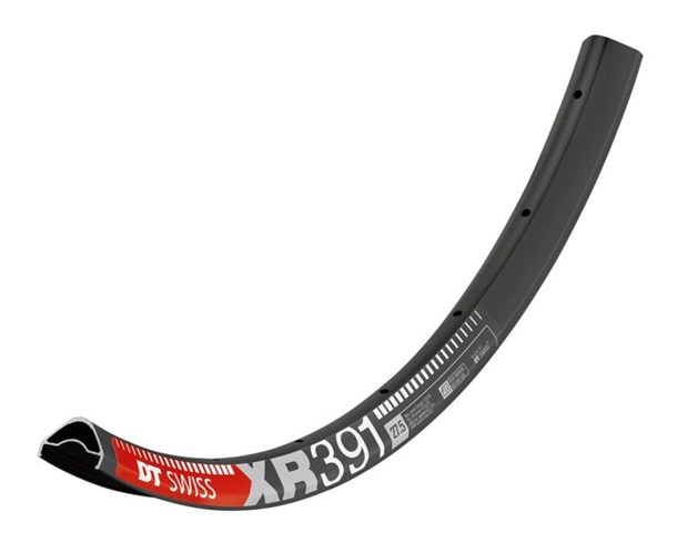 Obruč 29" DT-Swiss XR 391 28h